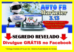 Software Facebook Marketer 3.13